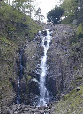 Taylor Gill Force