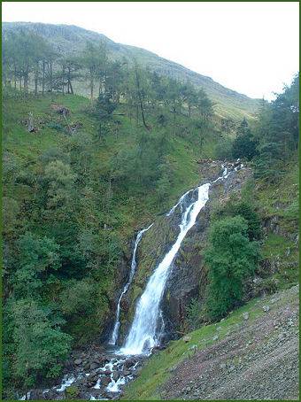Taylor Gill Force