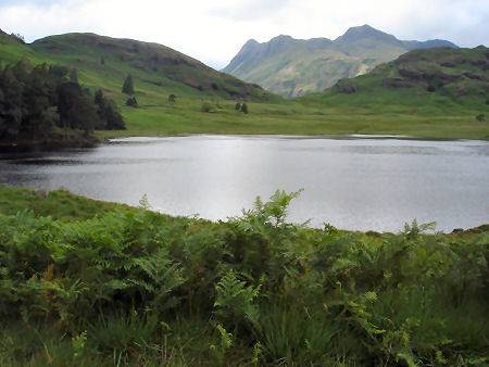 Blea Tarn