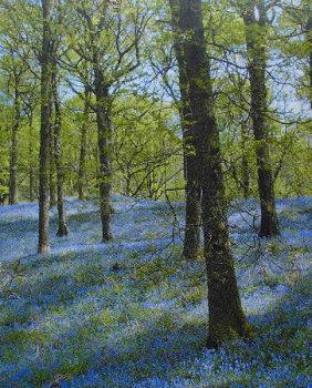 Brantwood