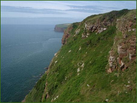 St. Bees Head