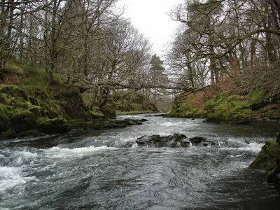 River Brathay